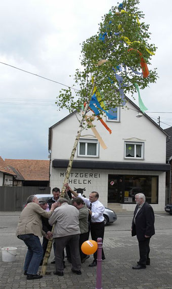 Maibaum Freckenfeld  2