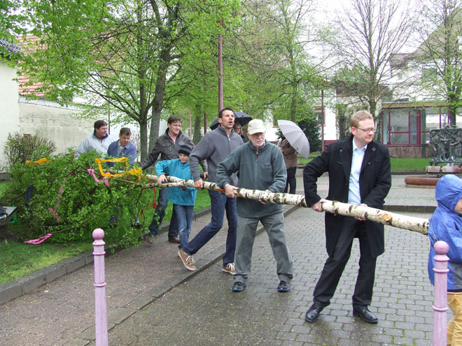 Freckenfeld Maibaum 1-A