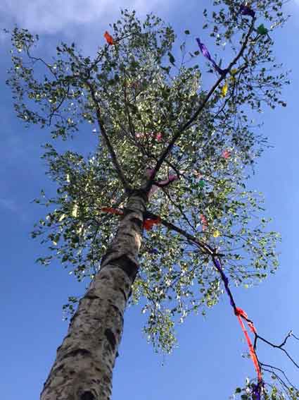 Maibaum-Freckenfeld-2018-A 2