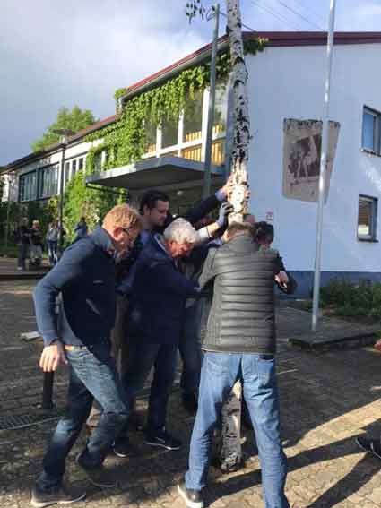 Maibaum-Freckenfeld-2018-A 3